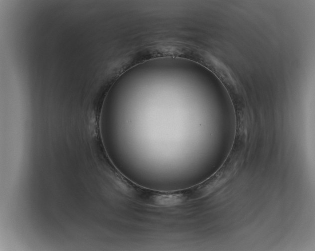 X0000112370465200908201506