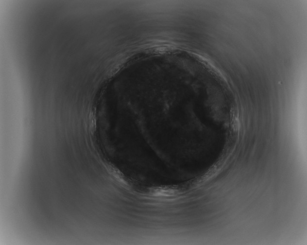 X0000112370471200908201506