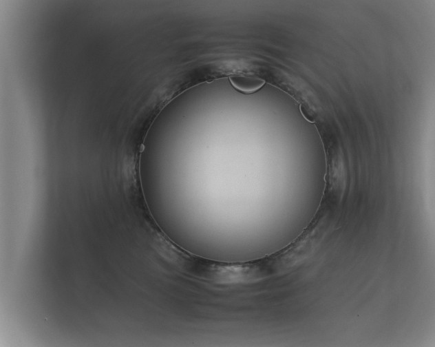 X0000112370473200908201506