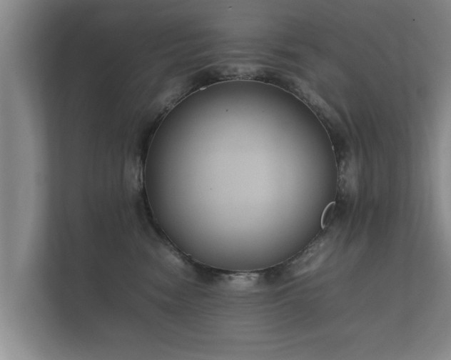 X0000112370474200908201506