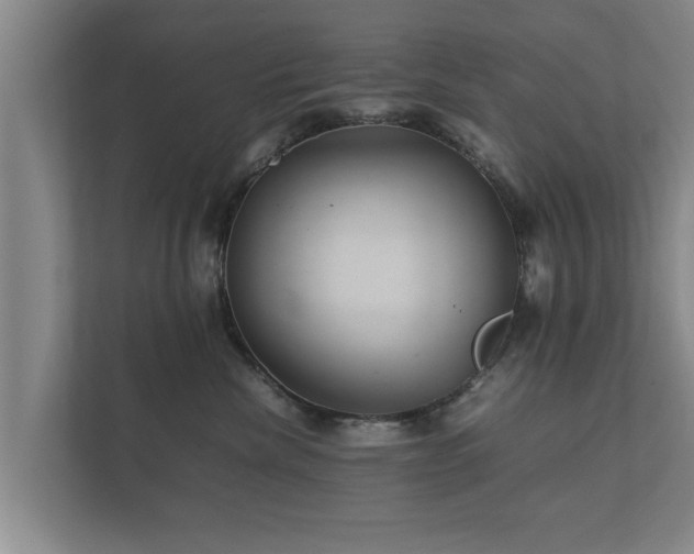 X0000112370476200908201506