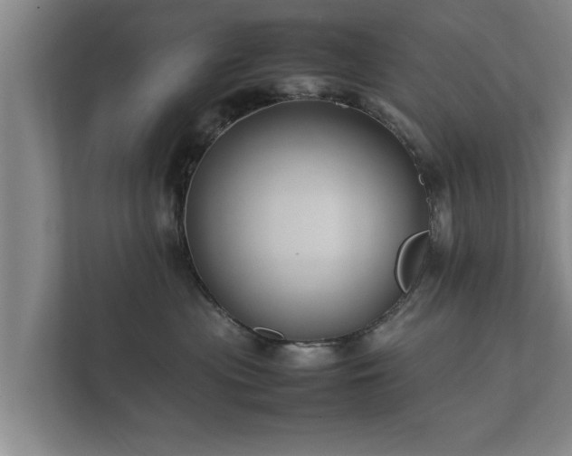 X0000112370477200908201506