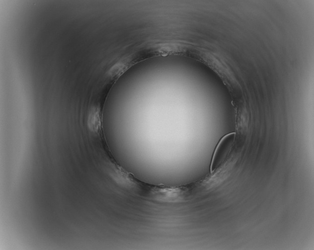 X0000112370478200908201506