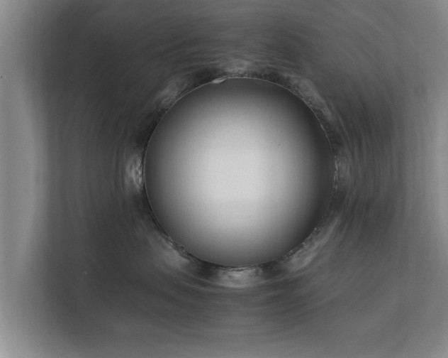 X0000112370479200908201506