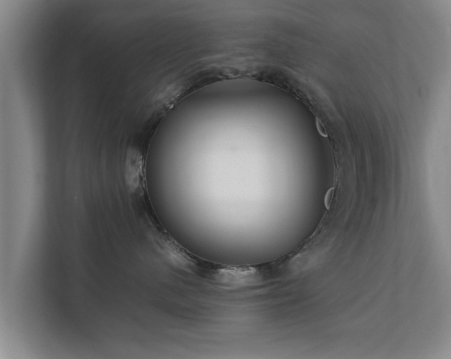 X0000112370480200908201506