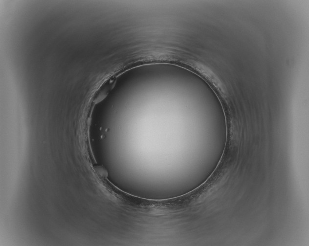 X0000112370481200908201505