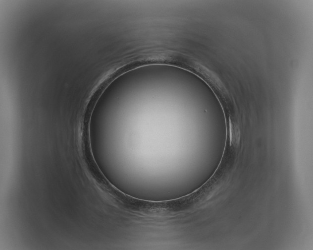 X0000112370483200908201505