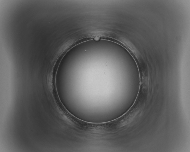 X0000112370485200908201505