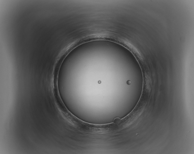 X0000112370486200908201505