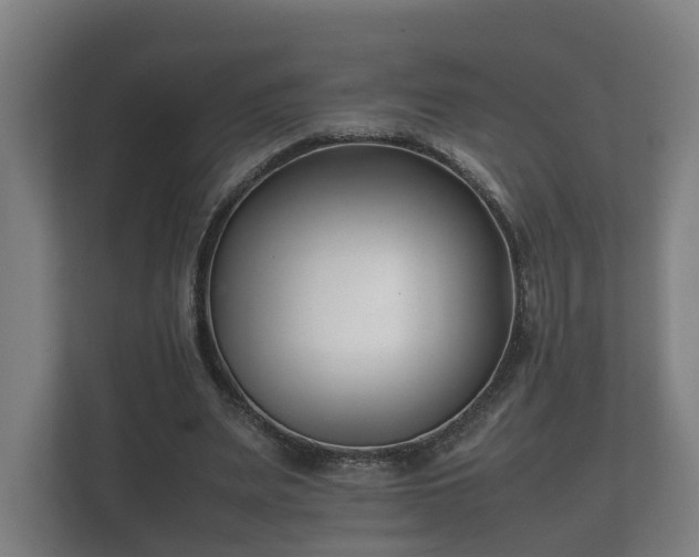 X0000112370487200908201505