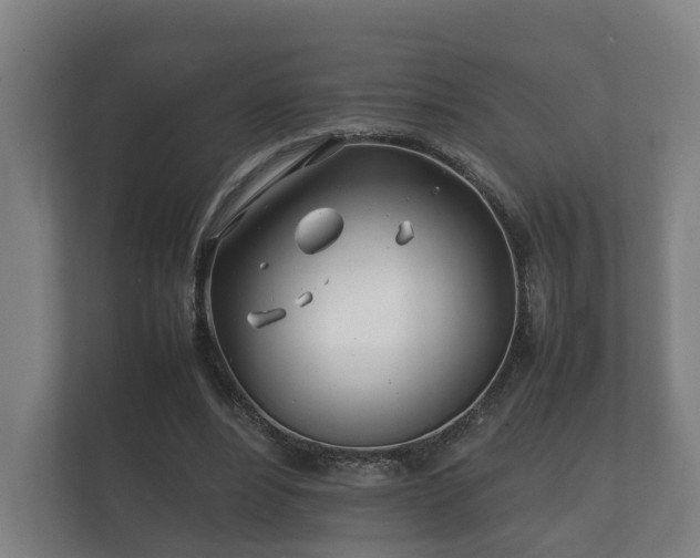 X0000112370488200908201505