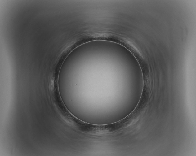 X0000112370491200908201505