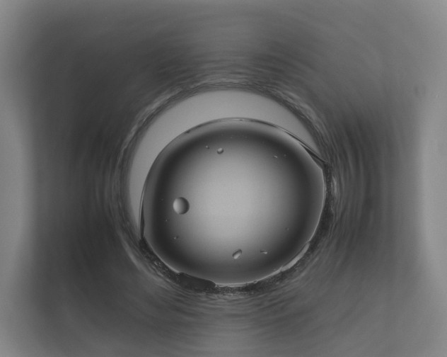 X0000112370492200908201505