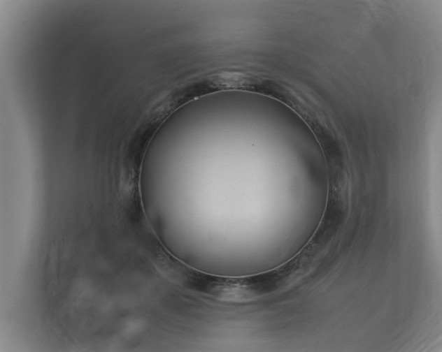 X0000112370507200908201505