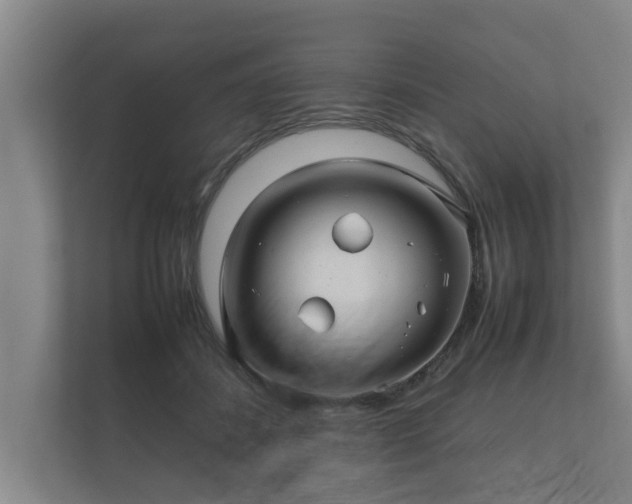 X0000112370508200908201505