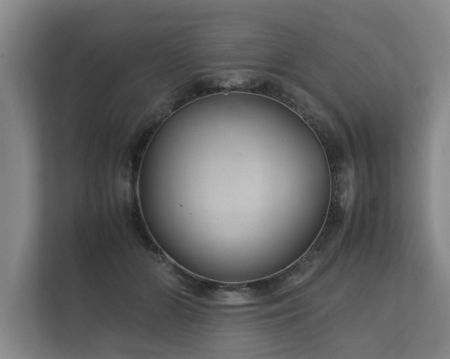 X0000112370510200908201505