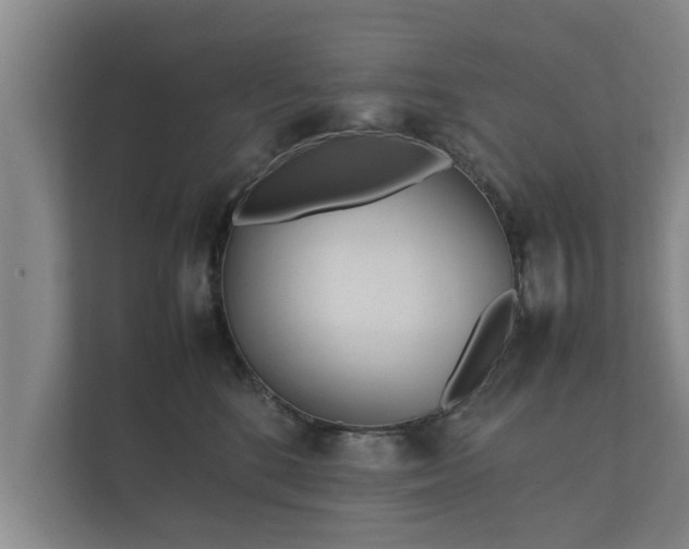 X0000112370520200908201505