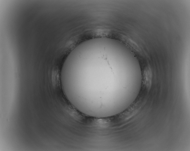 X0000112370522200908201505