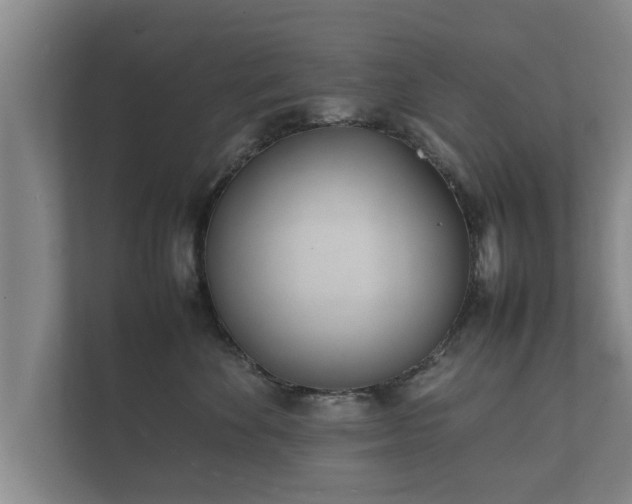 X0000112370524200908201505