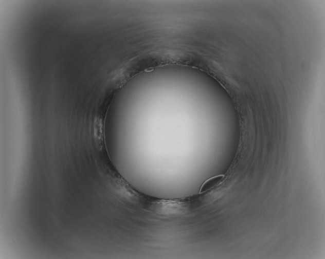 X0000112370528200908201504