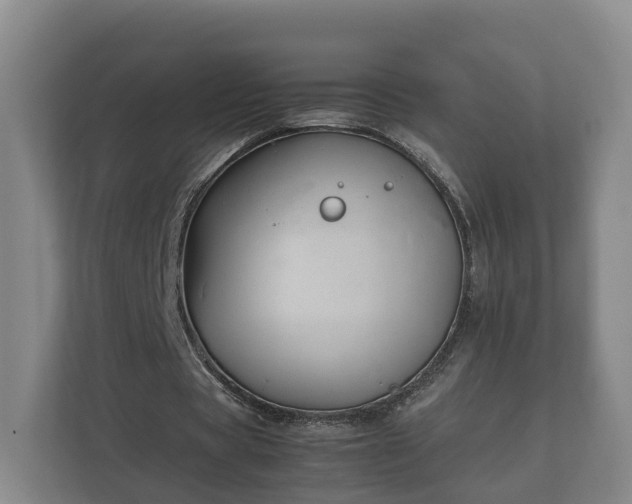 X0000112370529200908201504