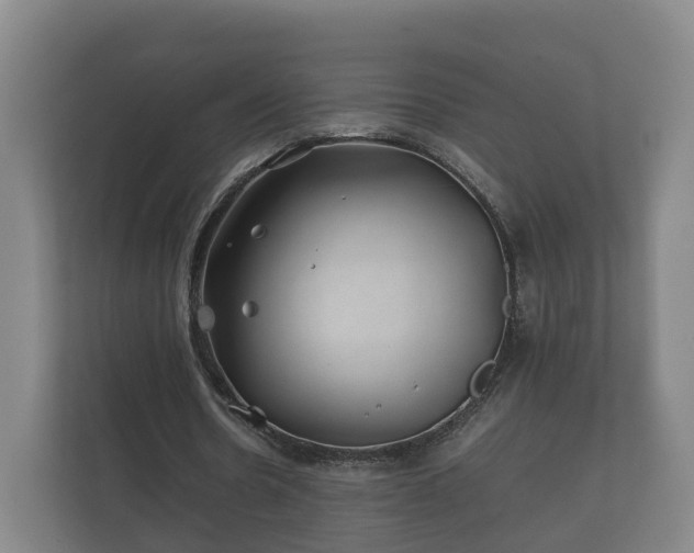 X0000112370530200908201504