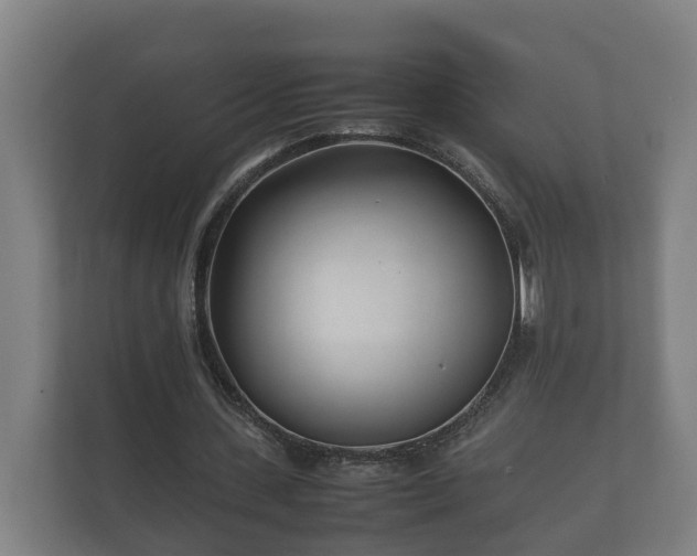 X0000112370531200908201504