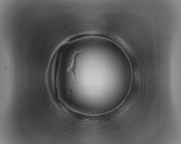 X0000112370532200908201504