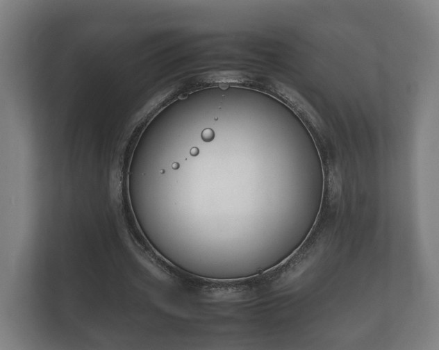 X0000112370533200908201504