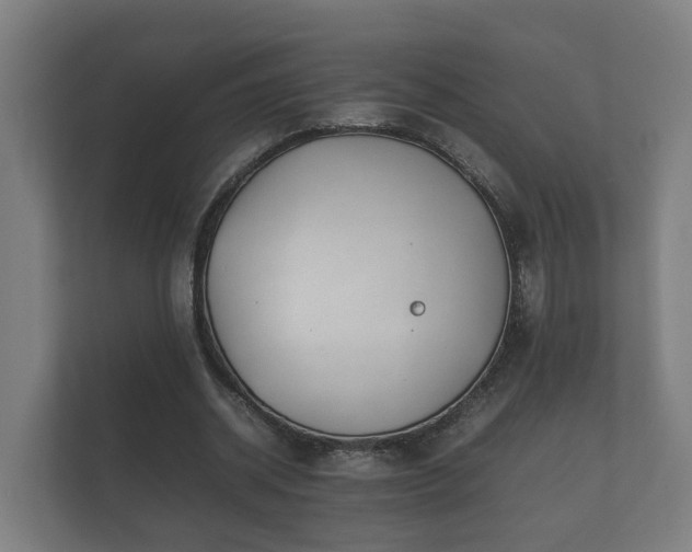 X0000112370534200908201504