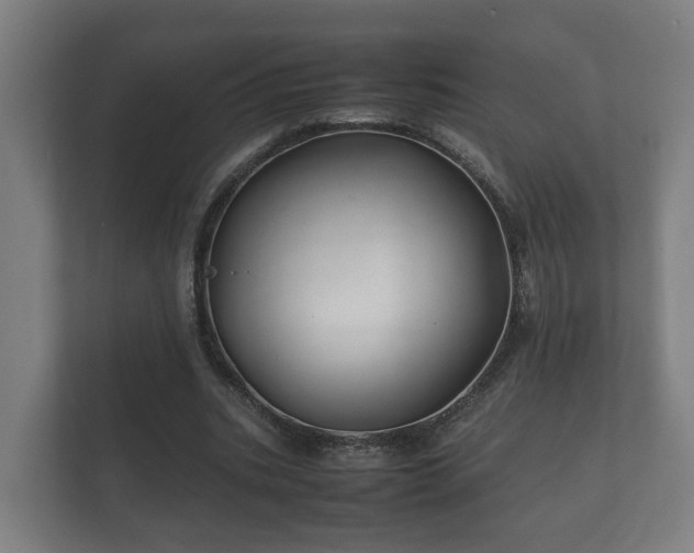 X0000112370535200908201504