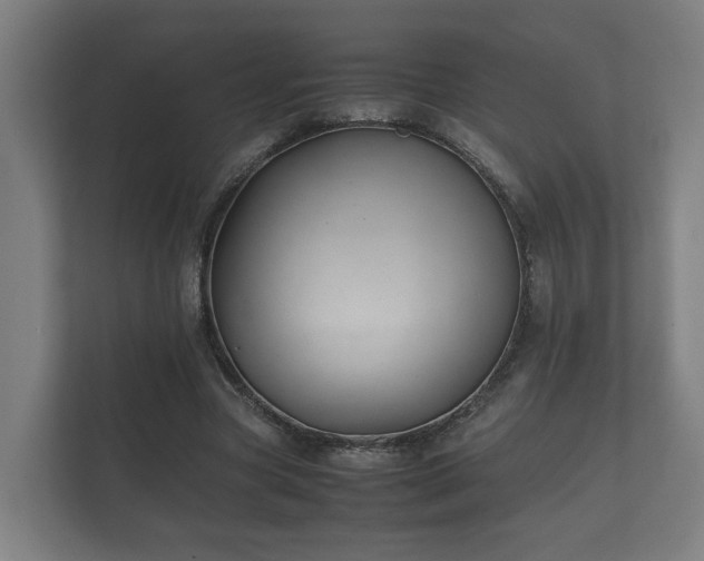 X0000112370537200908201504