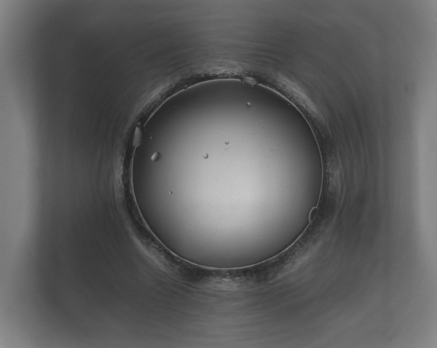 X0000112370538200908201504