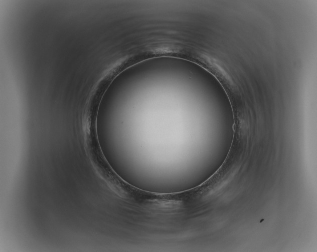 X0000112370539200908201504