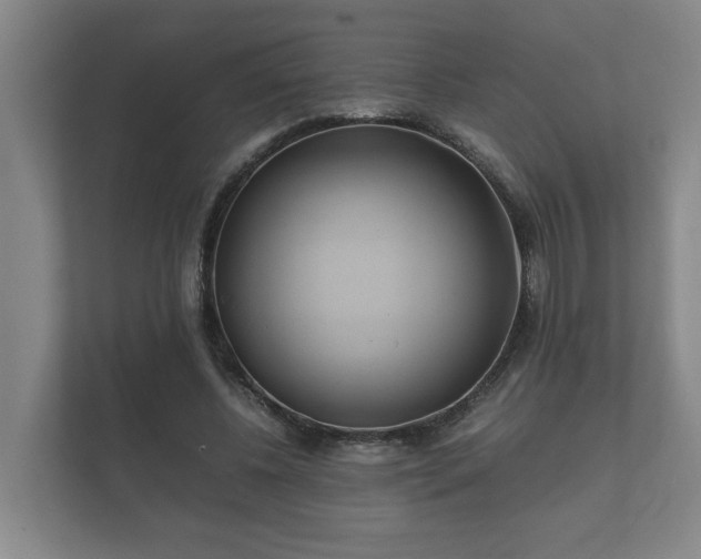 X0000112370540200908201504