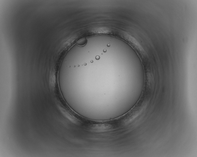 X0000112370541200908201504