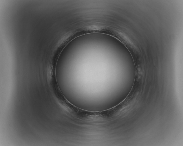 X0000112370544200908201504