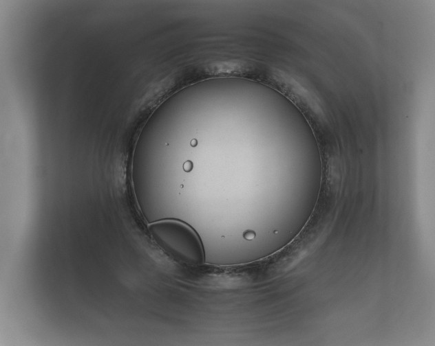 X0000112370545200908201504