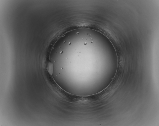 X0000112370547200908201504