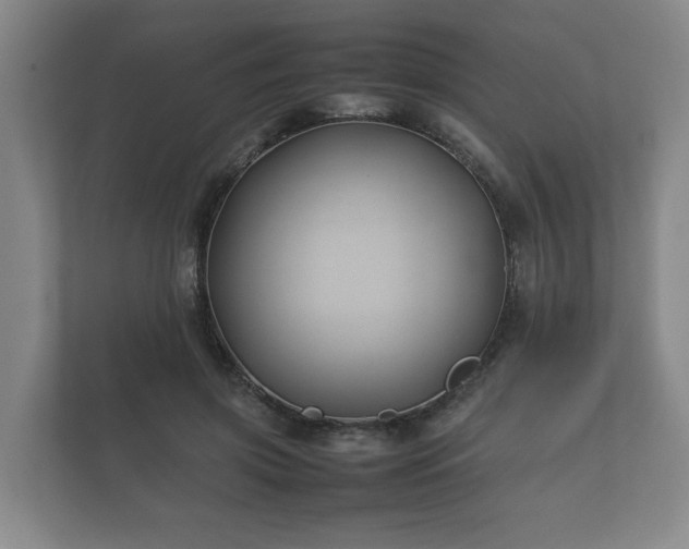 X0000112370549200908201504