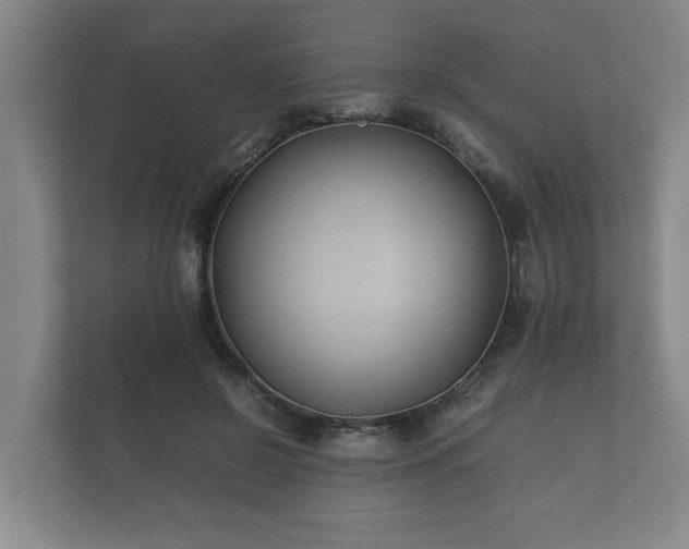 X0000112370550200908201504