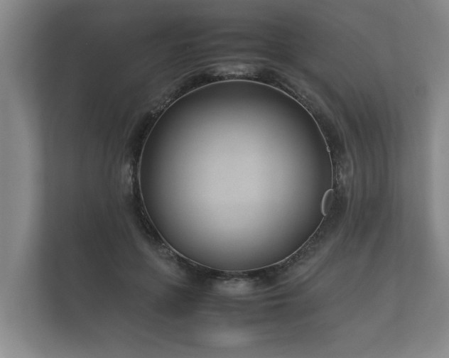 X0000112370551200908201504