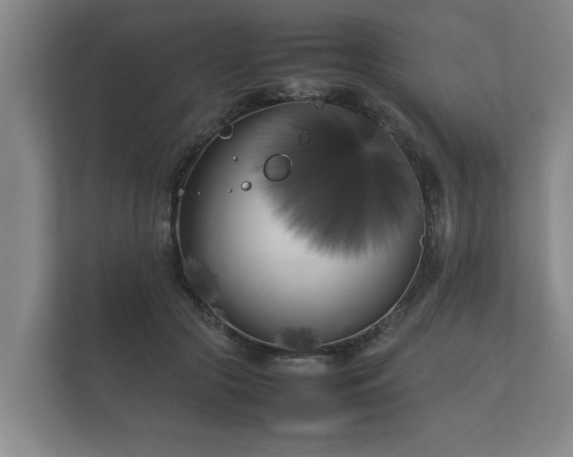 X0000112370553200908201504