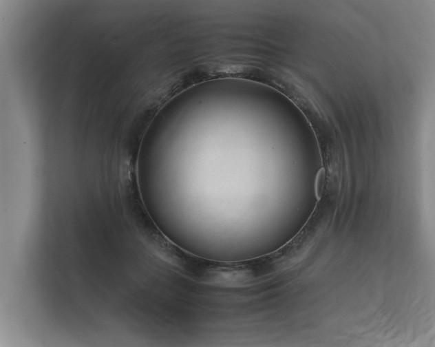 X0000112370555200908201504