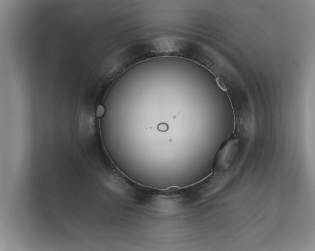 X0000112370556200908201504