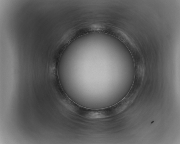 X0000112370557200908201504