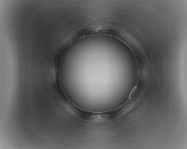 X0000112370558200908201504