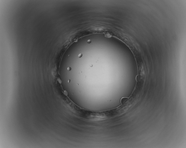 X0000112370559200908201504