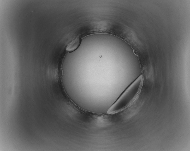 X0000112370564200908201504