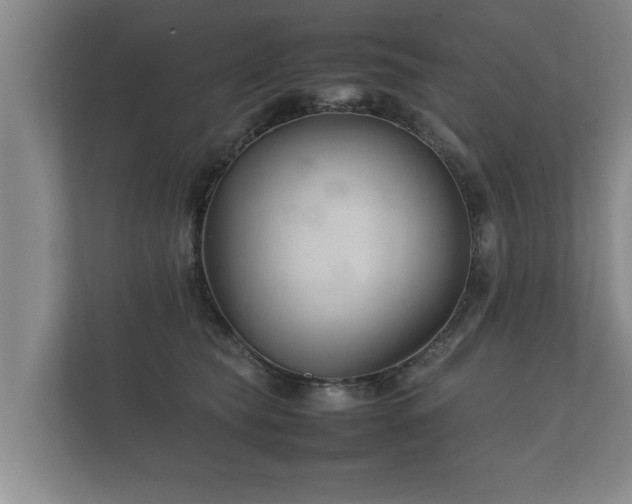 X0000112370565200908201504